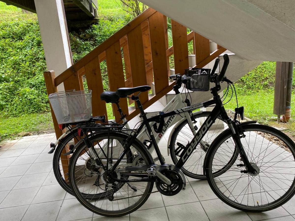 Geschmackvolles Appartement Am Donauradweg Obernzell Exterior foto
